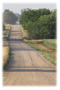 Dirt road in the evening